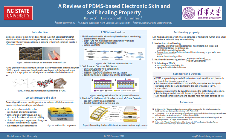 Academic poster on PDMS and e-skins